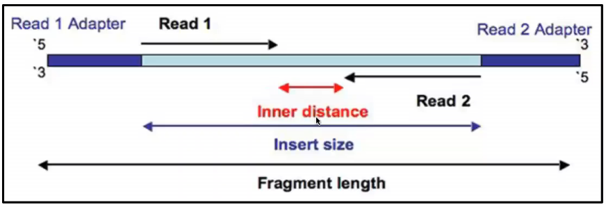 Single vs Paired-End Sequencing